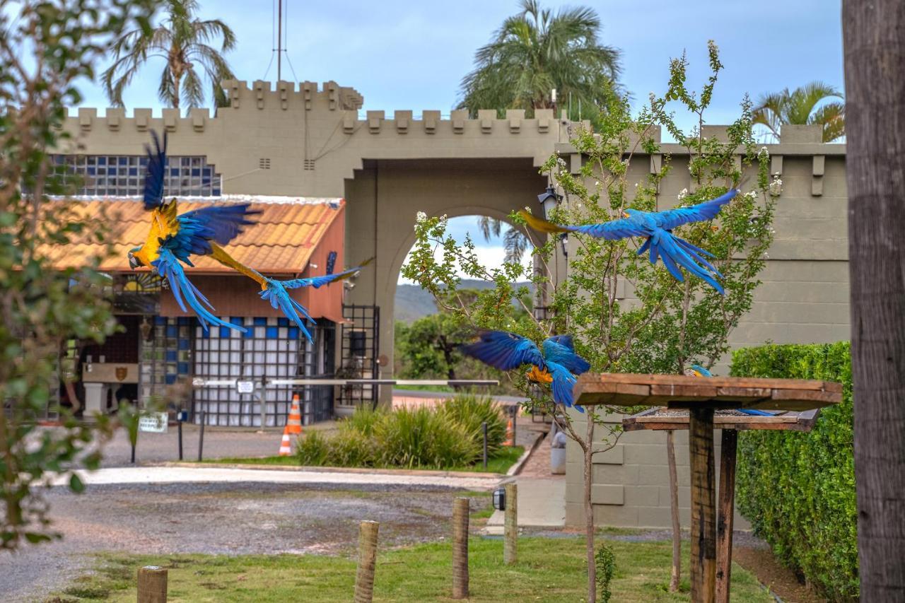 Alto Paraíso de Goiás Pousada Camelot Inn מראה חיצוני תמונה