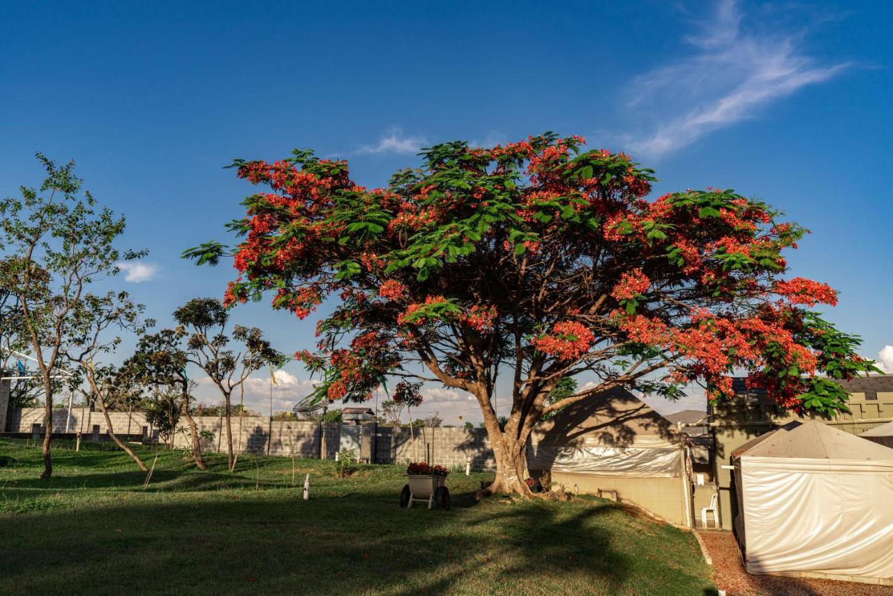 Alto Paraíso de Goiás Pousada Camelot Inn מראה חיצוני תמונה